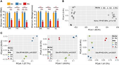 High Frankia abundance and low diversity of microbial community are associated with nodulation specificity and stability of sea buckthorn root nodule